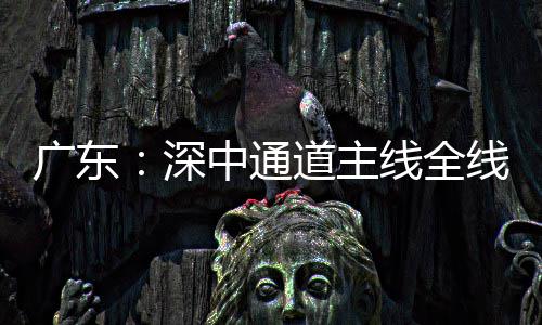 线全线亮通车进入道主灯，倒计广东中通深时